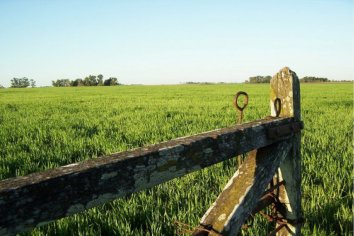 El Gobierno cambió el esquema de retenciones agropecuarias y las subió para determinados productos