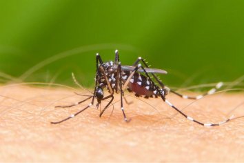 Nuevo caso de dengue en Entre Ríos