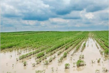 Los caminos rurales que permanecen cortados por las lluvias