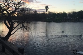 Encontraron muerta a una mujer en la Laguna del Parque