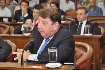 "Es un problema social tremendo" dijo el senador Raymundo Kisser