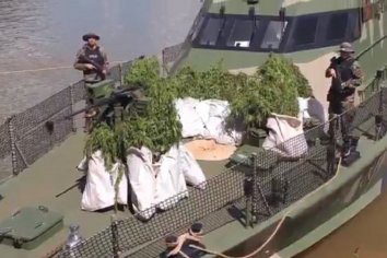 Encontraron una gran plantación de marihuana en un predio el ejercito
