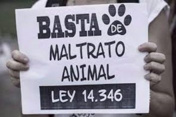 Proyecto de Ordenanza para asegurar la protección y cuidado de todos los animales