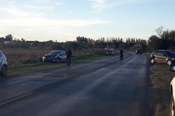 Se le cruzó un perro y ocasionó un choque en cadena