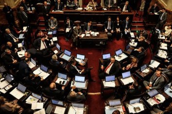 Por unanimidad y sin debate, ya es ley el uso de cannabis medicinal