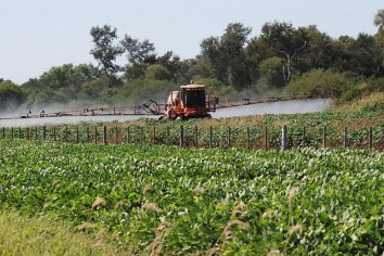 Amparo colectivo ambiental contra el decreto que regula las fumigaciones