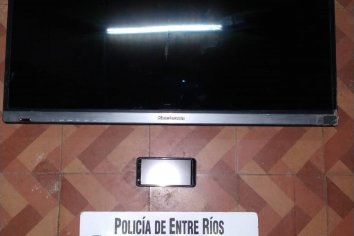 Se recuperaron elementos robados