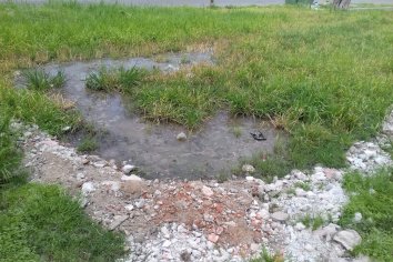 “Tengo el patio lleno de excremento”