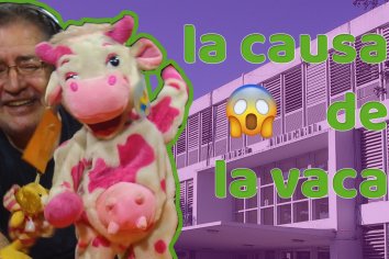 Entre Ríos: editorial de Rubén Almará sobre la causa de la vaca