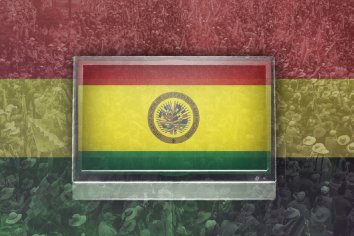 Sobre la OEA y las elecciones en Bolivia