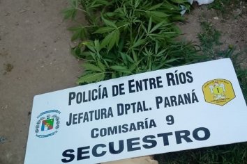 Allanamientos, secuestros y resistencia a la autoridad