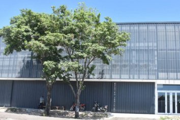 El Archivo del Poder Judicial funciona en su sede definitiva