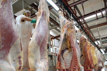 Afirman que el Gobierno reabrirá las exportaciones de carne la semana próxima