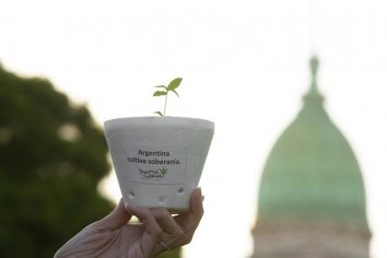 Avanza un proyecto para permitir el autocultivo y la venta de aceites en farmacias