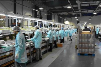 El PBI per cápita cayó 7,9% entre 2016 y 2019 y enero ya muestra una leve recuperación