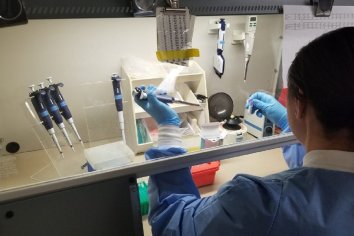 En Entre Ríos no se registran casos de transmisión comunitaria de coronavirus