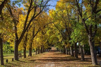 Desde Octubre reabren los parques nacionales en Argentina