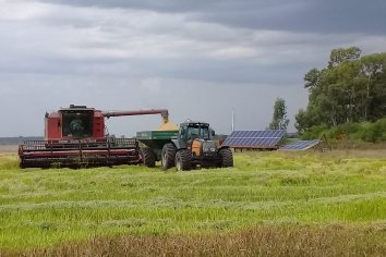 Exitosa prueba piloto en energías alternativas para riego de cultivo de arroz