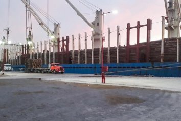 Se completó otra exportación de madera desde el puerto de Ibicuy