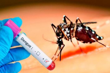 Son 38 mil los casos de dengue en todo el país