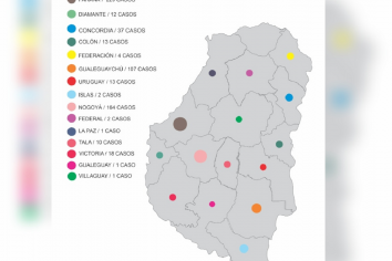 Hay más de 600 casos de dengue registrados en Entre Ríos