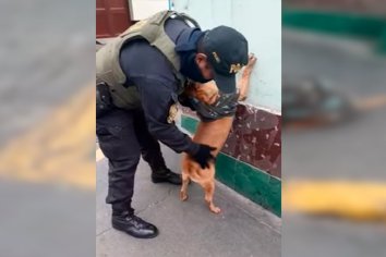 QUIETO Y CONTRA LA PARED