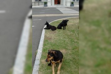ES HORA DE DESCANSAR