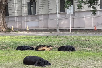 NO PUEDEN MARCARNOS LA AGENDA DE TRABAJO