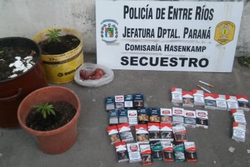 Fueron en búsqueda de elementos robados: hallaron 35 paquetes de cigarrillos y tres plantas de Cannabis