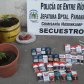 Fueron en búsqueda de elementos robados: hallaron 35 paquetes de cigarrillos y tres plantas de Cannabis
