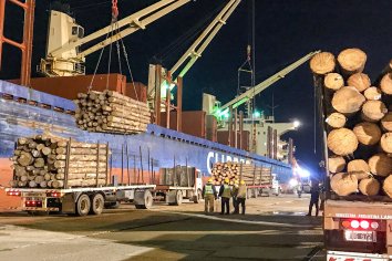 Exportaciones entrerrianas llegan a más de 130 mercados en el mundo
