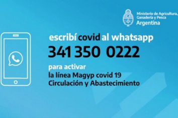 Presentaron la línea gratuita COVID-19 para transportistas y choferes de carga