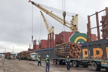 Los puertos entrerrianos continúan en plena actividad