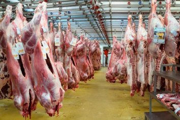 Establecieron mayores controles para las exportaciones