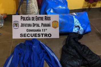 Robó una pileta y la arrojó para no ser atrapado