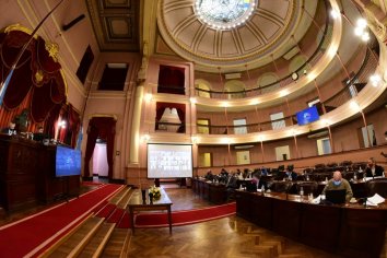 Diputados dio media sanción al proyecto que promueve el cuidado integral de la salud de las personas con fibromialgia
