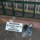 Robaron elementos y los abandonaron en la huida
