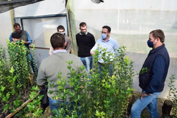 La provincia avanzó en gestiones para el sector foresto industrial y citrícola