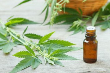 Jueza de Paz de Gobernador Mansilla condenó al Iosper a cubrir tratamiento con aceite de cannabis medicinal