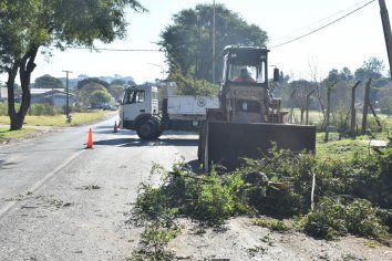 Trabajos de poda en zona del Parque Industrial