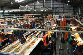 Beneficios a las economías regionales entrerrianas que recibirán tratamiento de industrias