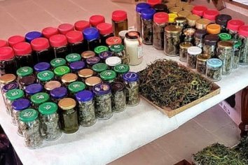 Tras fallo inédito sobre el uso del cánnabis medicinal "Hay 40 mil consumidores en todo el país"