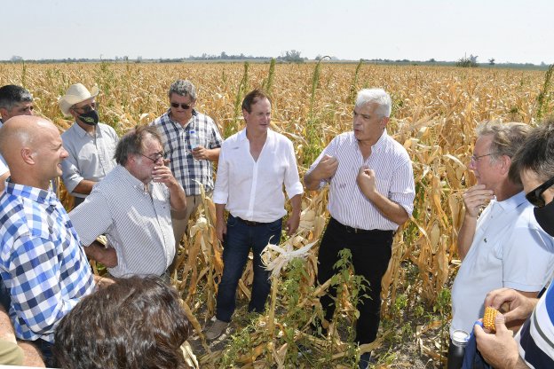 El gobierno entrerriano convocó a las entidades agropecuarias para evaluar medidas ante la sequía
