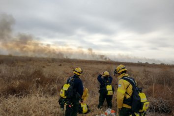 Más de 100 brigadistas combaten los incendios en islas del Delta
