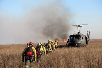 Ambiente denunciará a los dueños de los predios donde se iniciaron los incendios del Delta