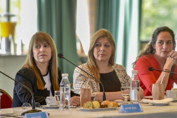 La ministra Sonia Velázquez participó de la reunión ordinaria del Consejo Federal de Salud