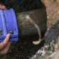 Reparan una válvula de la red de agua en calles Crespo y Blas Parera