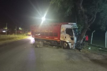Camionero se quedo dormido y terminó chocando contra un árbol