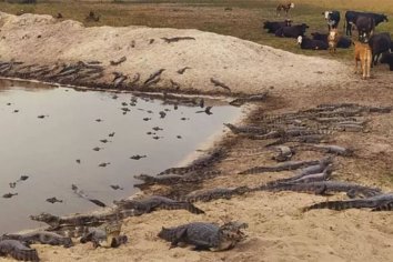 Se secaron 34.000 lagunas en Corrientes