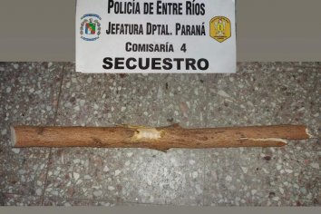 Detuvieron a dos hombres que vandalizaron una carnicería
